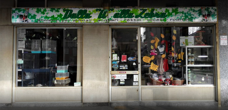 images-1-ott